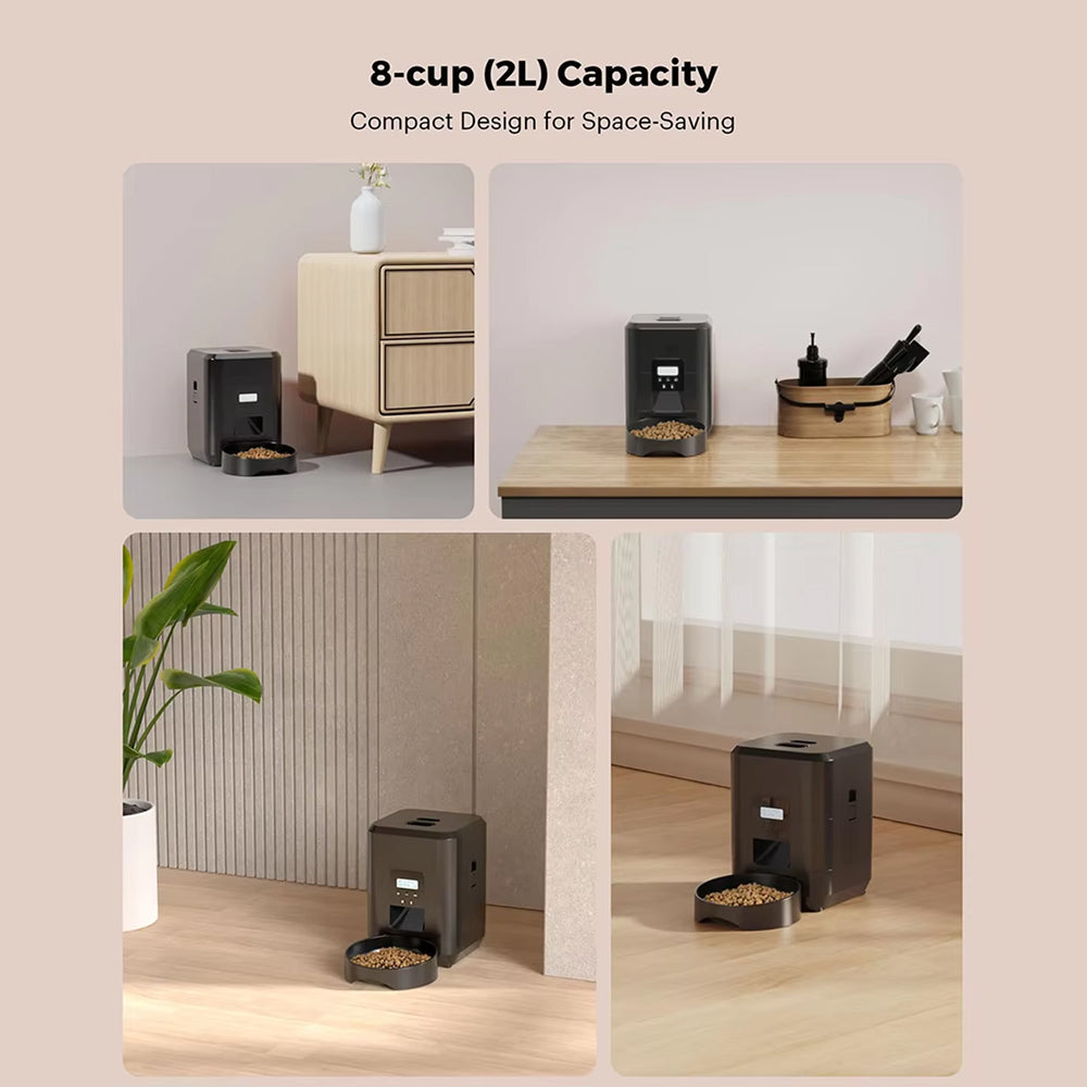 MealMeww Automatic Cat Feeder