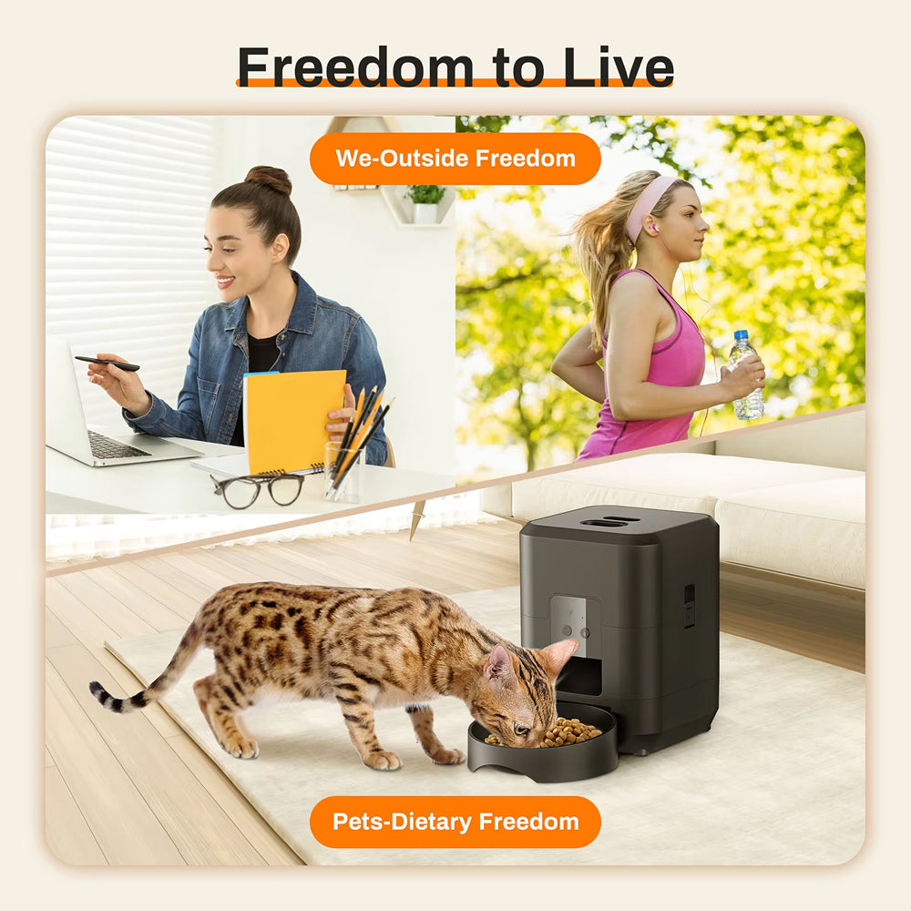 MealMeww Automatic Cat Feeder