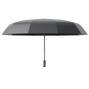 Foldrella Compact Umbrella