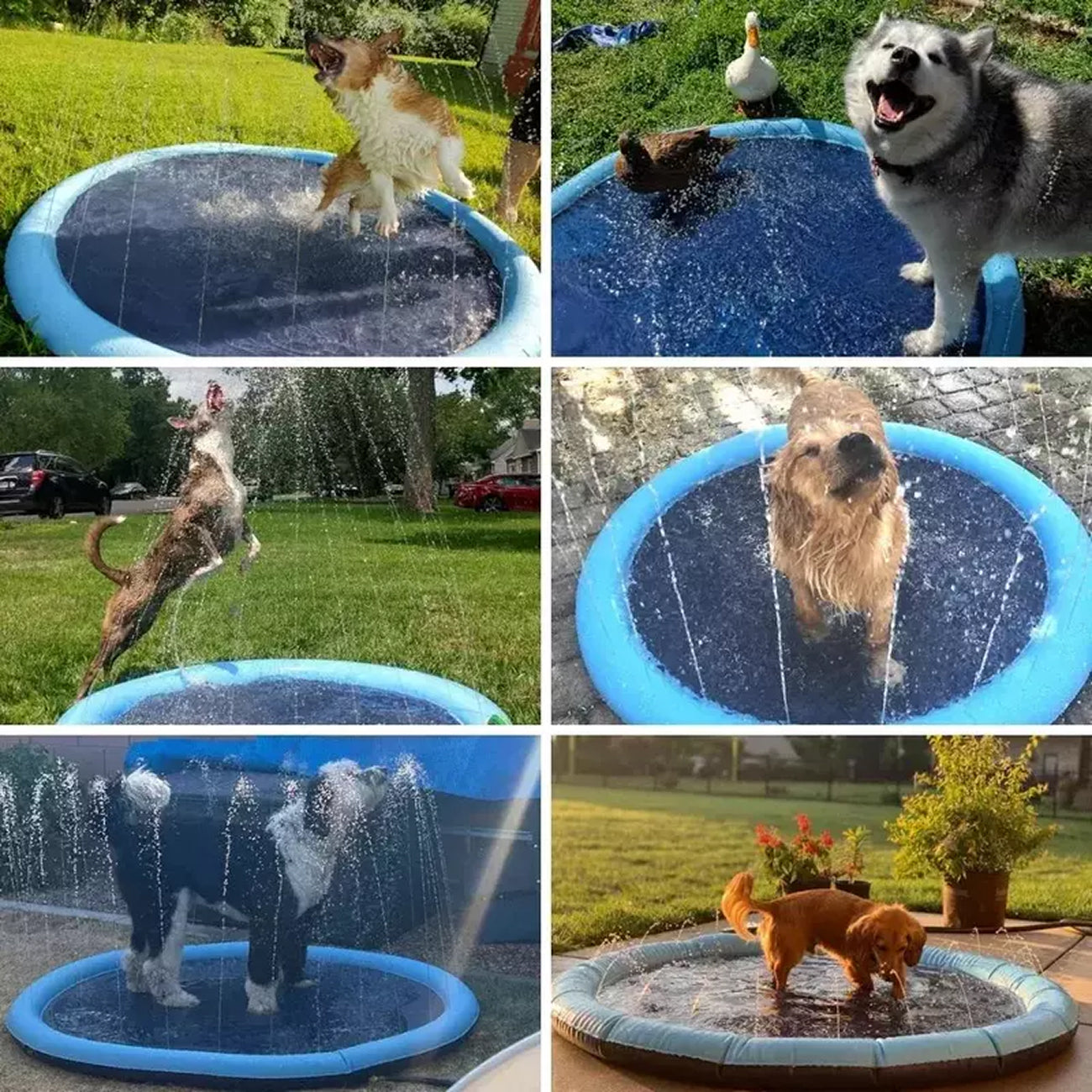 PawWavey Dog Splash Pad