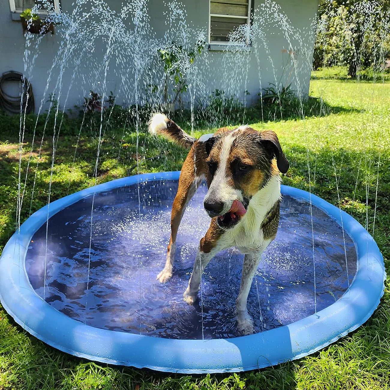 PawWavey Dog Splash Pad