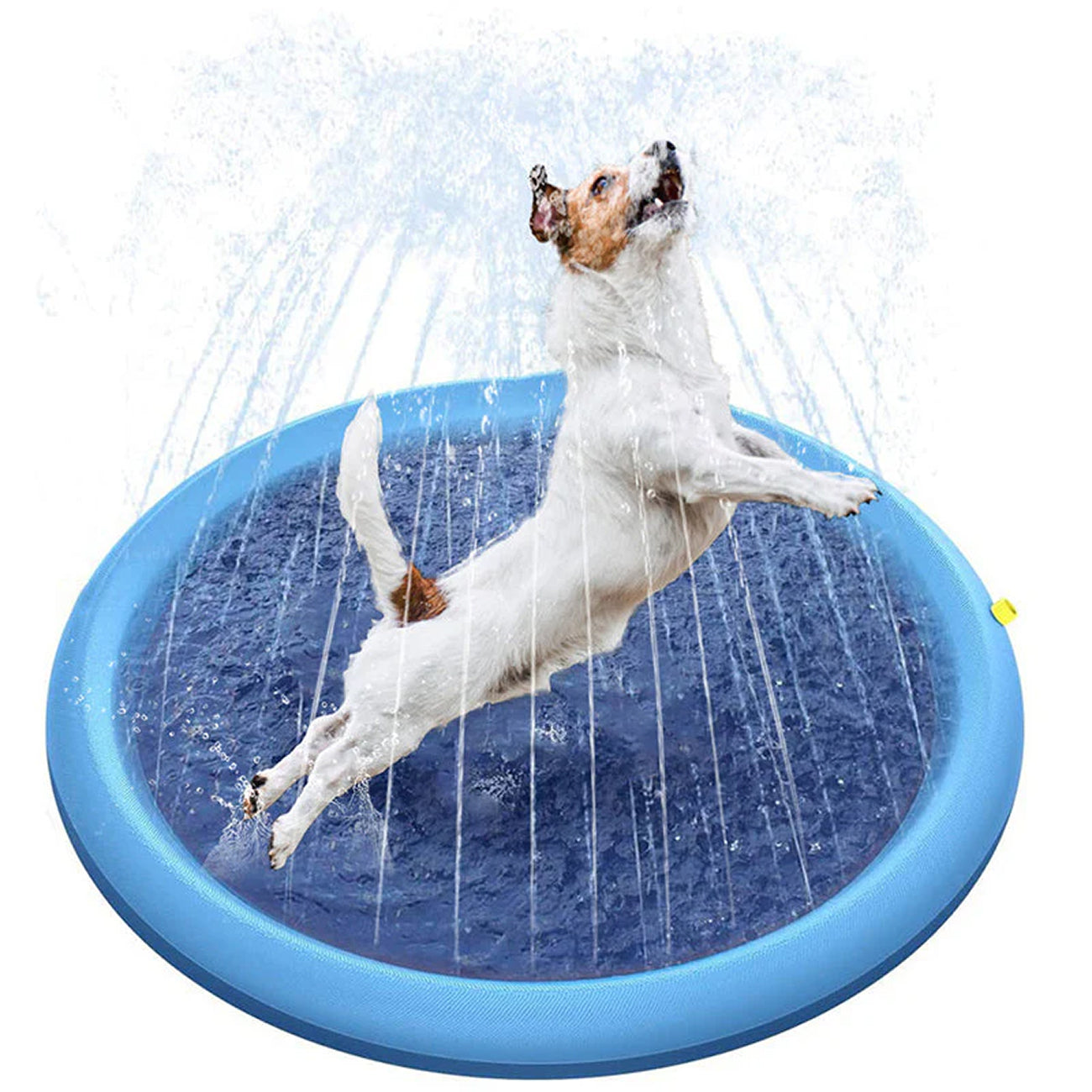 PawWavey Dog Splash Pad
