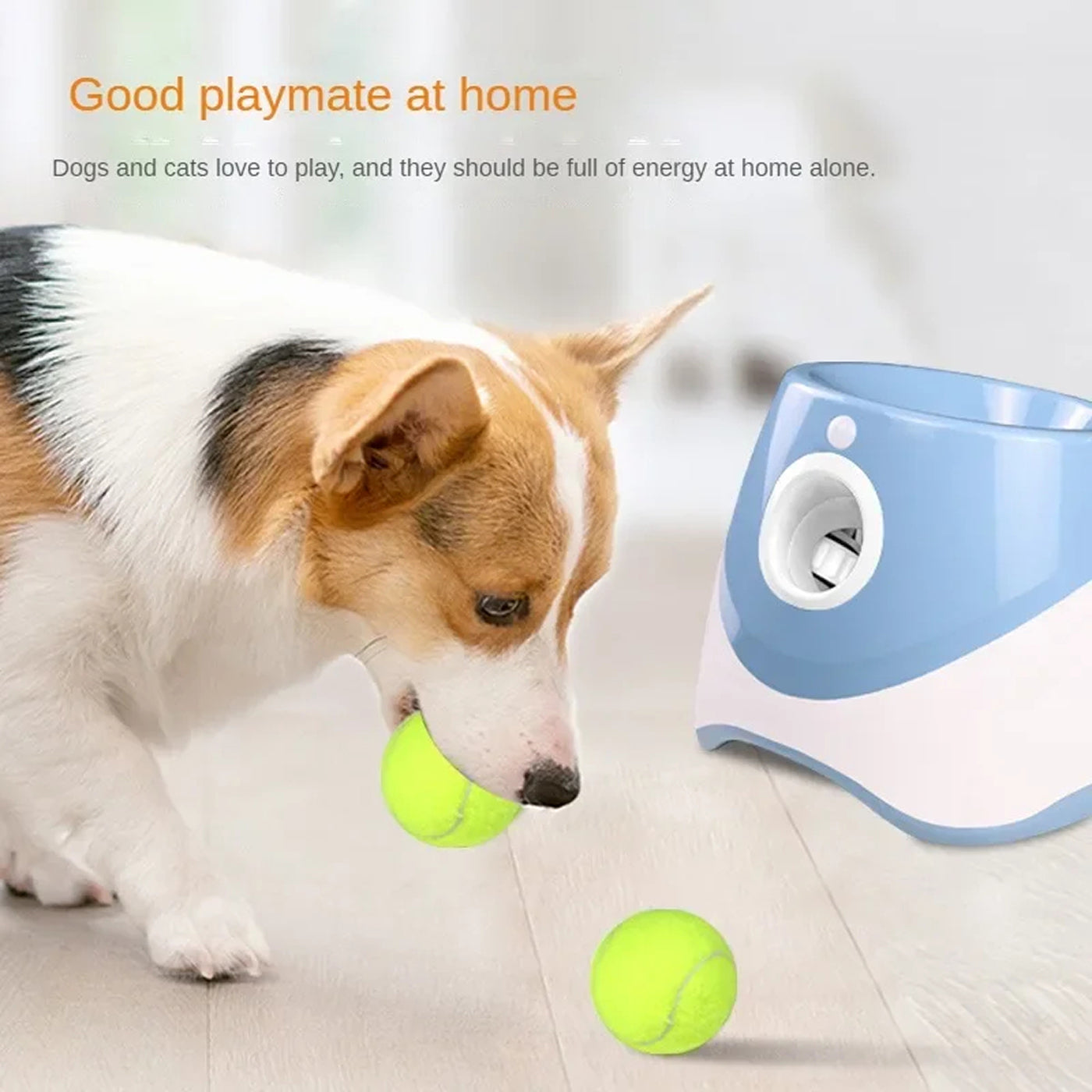 BalopRush Automatic Dog Ball Launcher