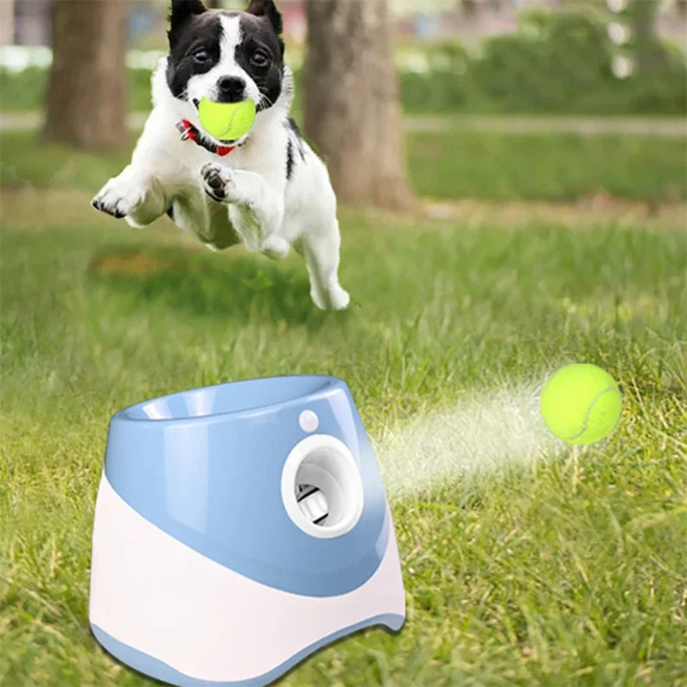 BalopRush Automatic Dog Ball Launcher