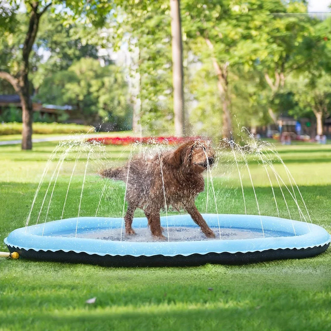 PawWavey Dog Splash Pad
