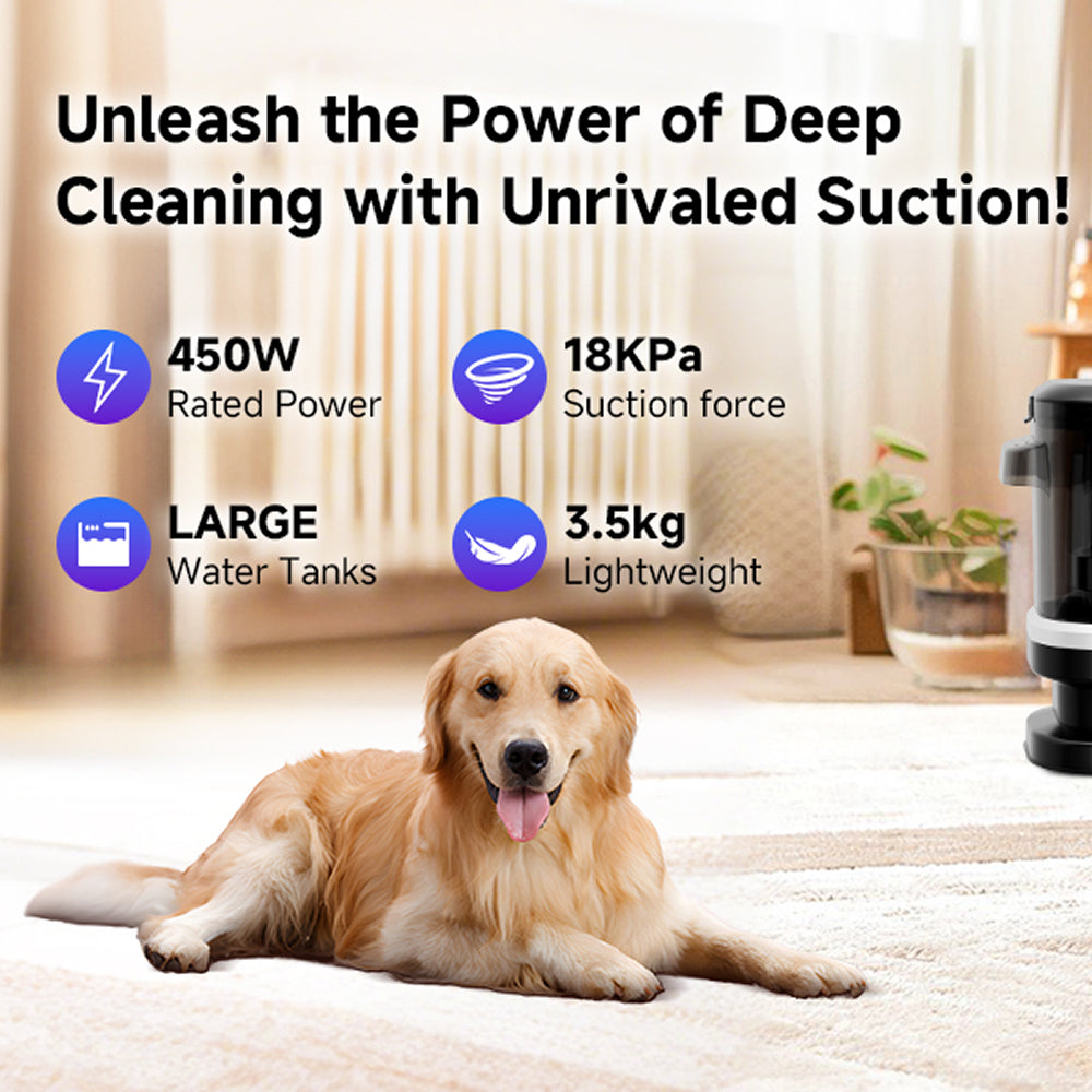 CarpZapi Carpet Cleaner