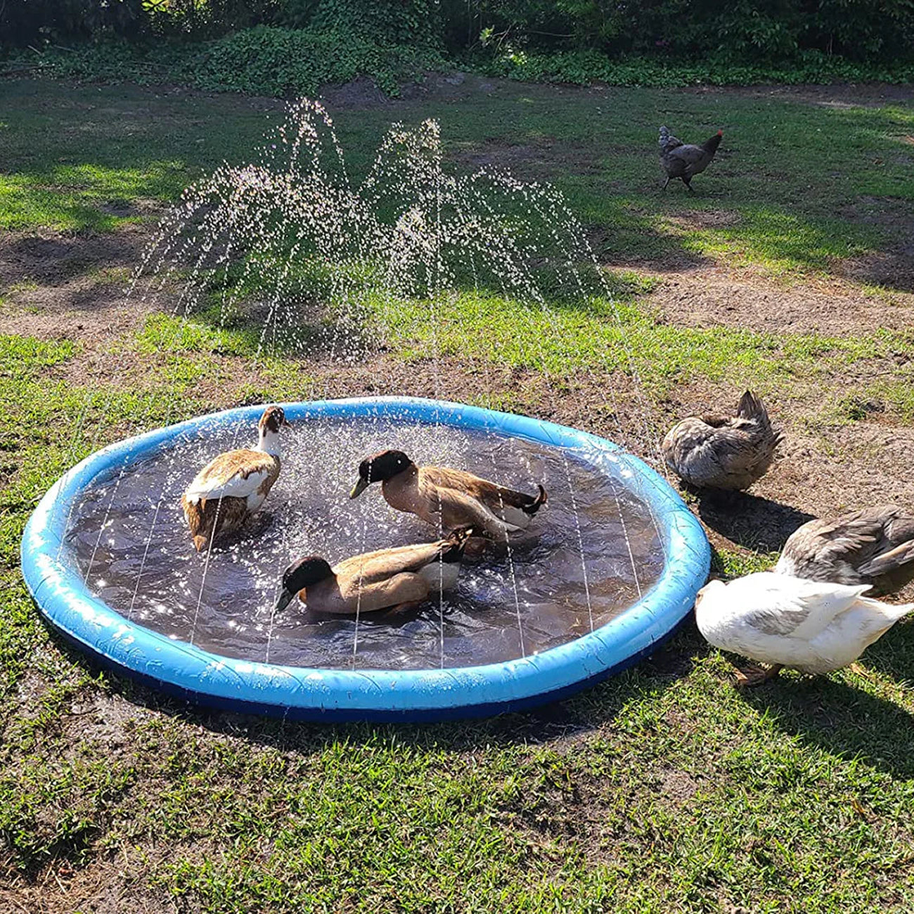 PawWavey Dog Splash Pad
