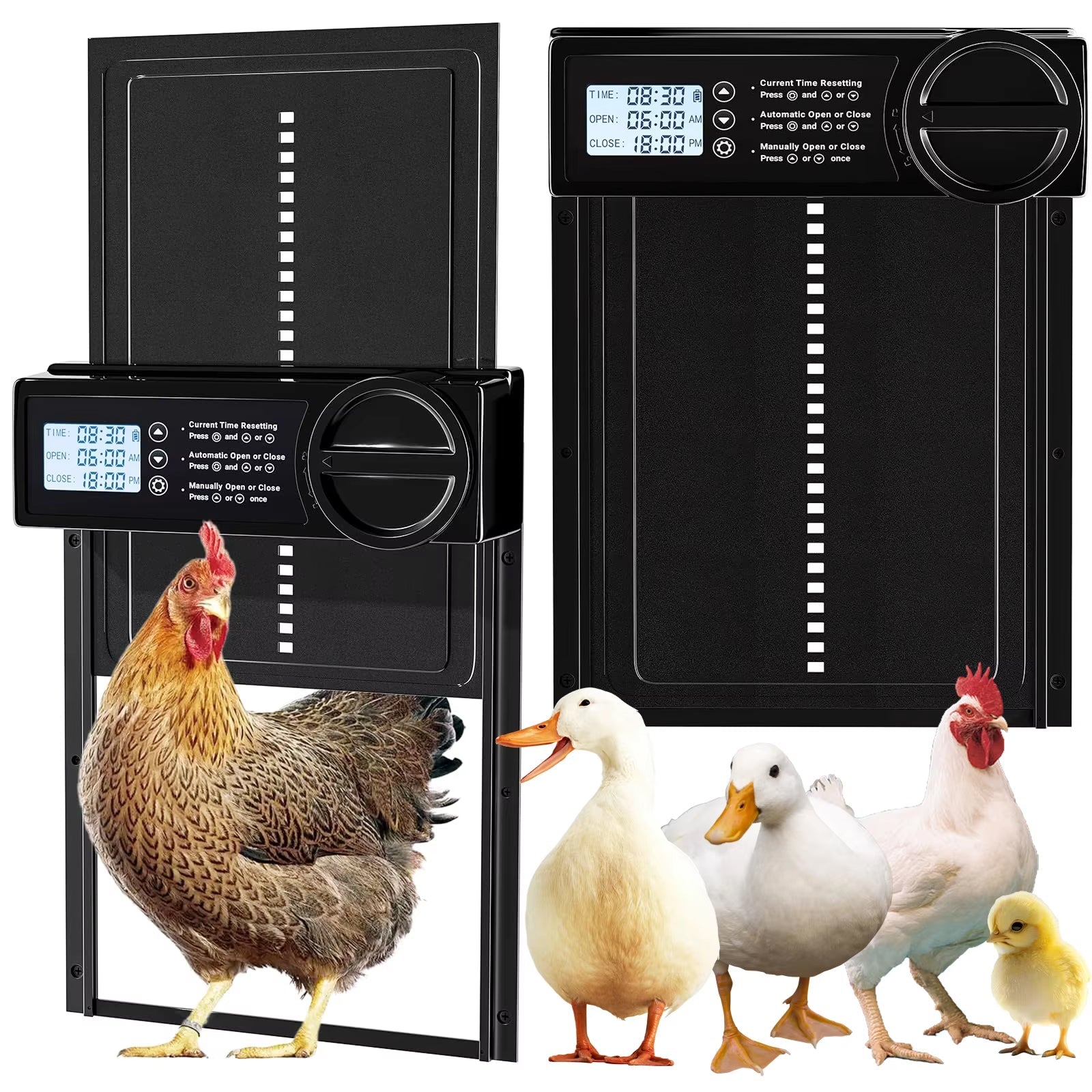 ChicxGate Automatic Chicken Coop Door