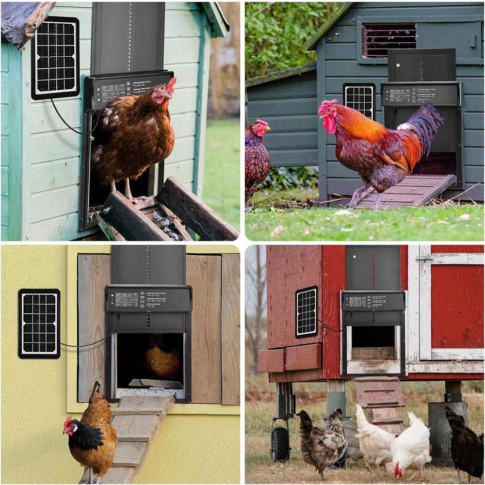 ChicxGate Automatic Chicken Coop Door