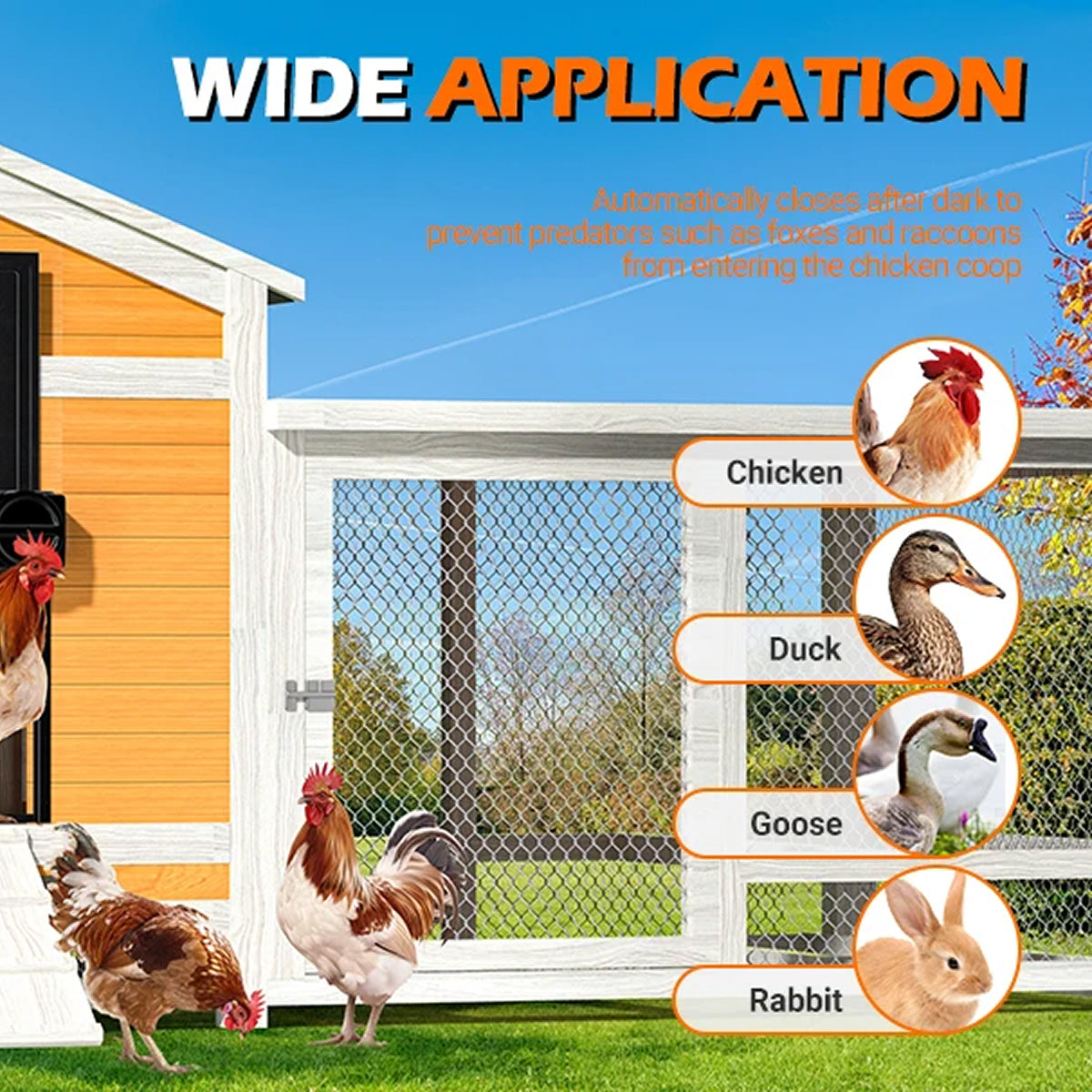 ChicxGate Automatic Chicken Coop Door