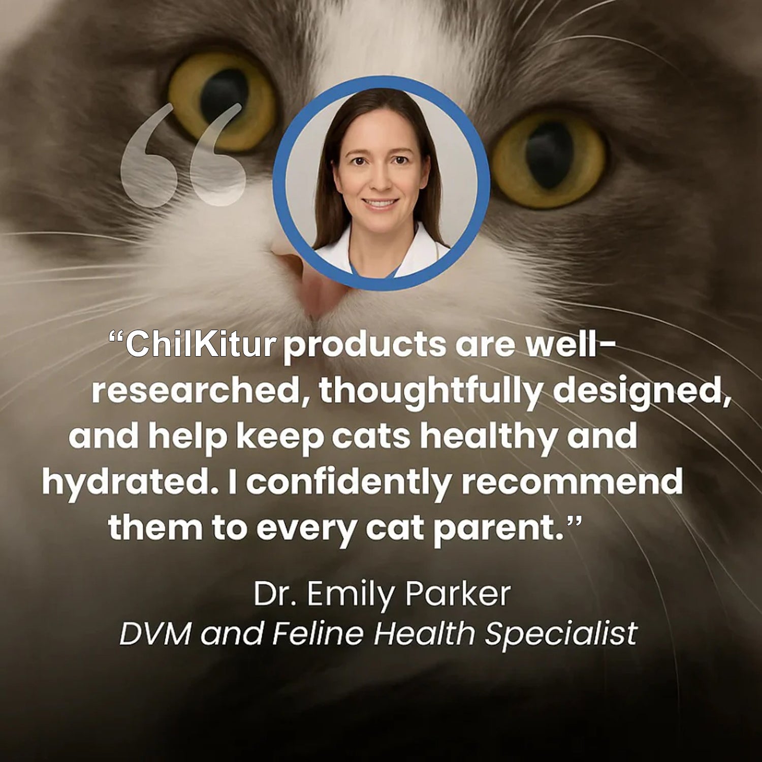 ChilKitur Cat Cooling Mat