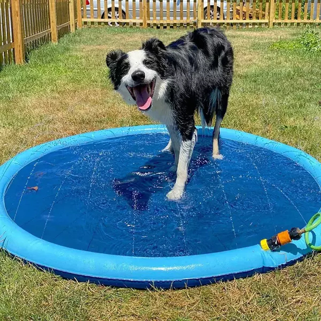 PawWavey Dog Splash Pad