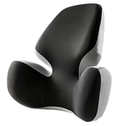 ErgoPadix Ergonomic Seat Cushion