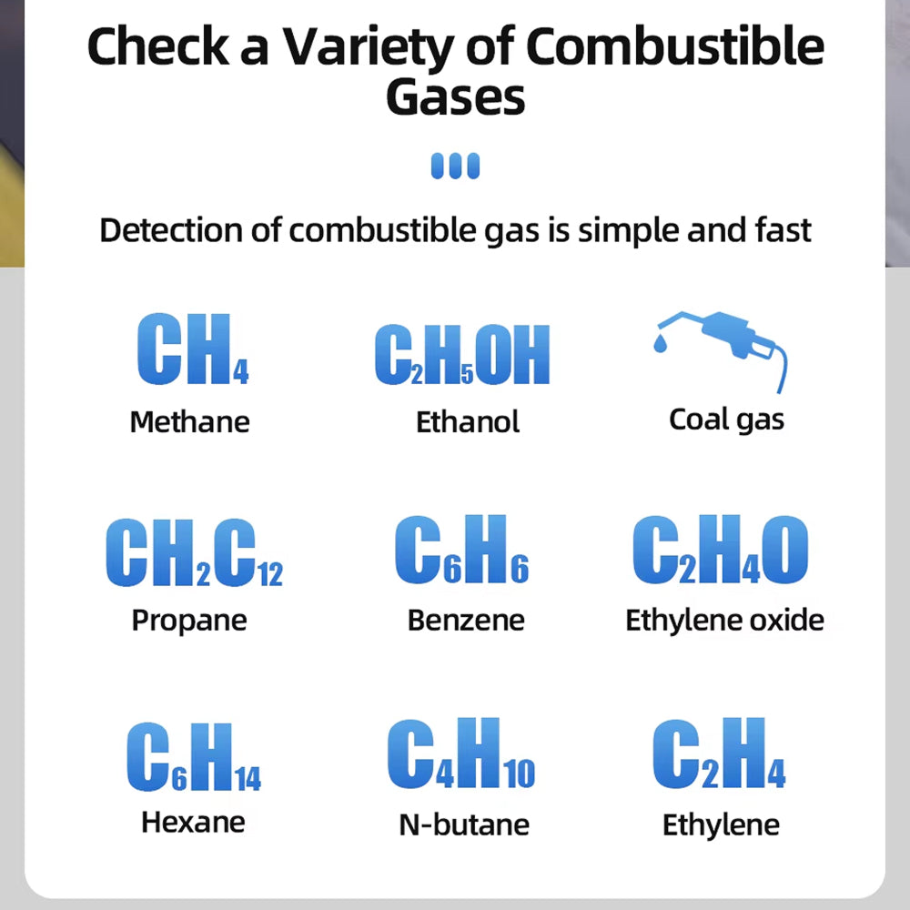 Gasdetex Combustible Gas Detector