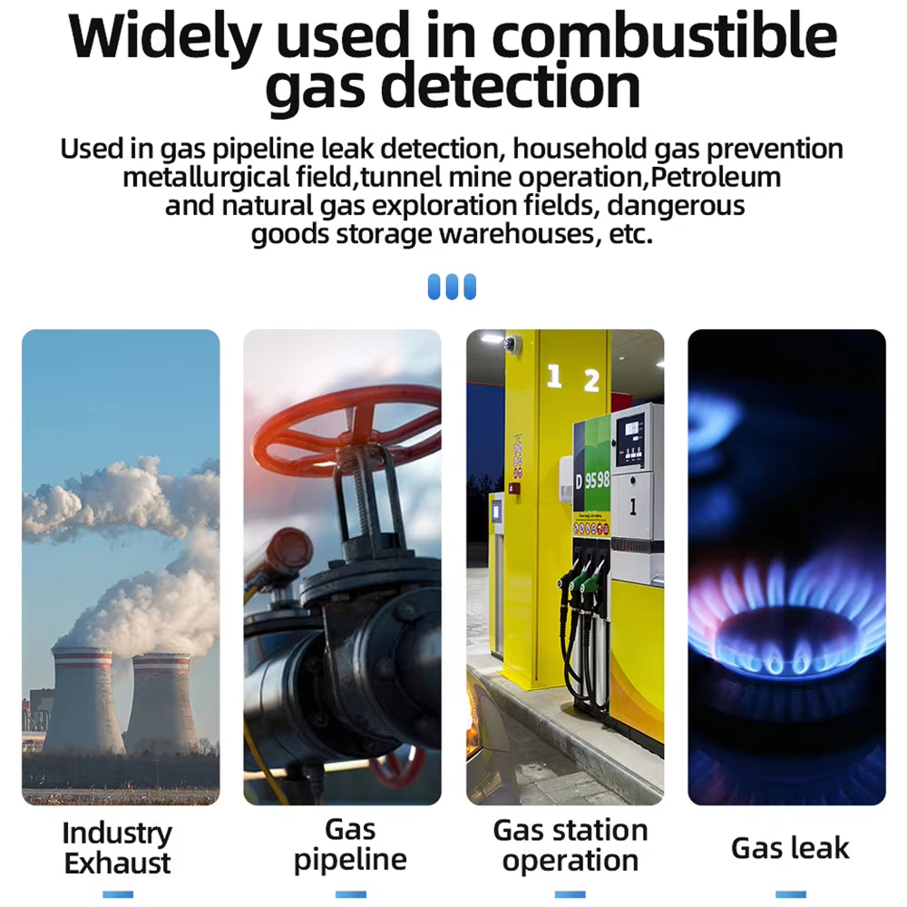 Gasdetex Combustible Gas Detector