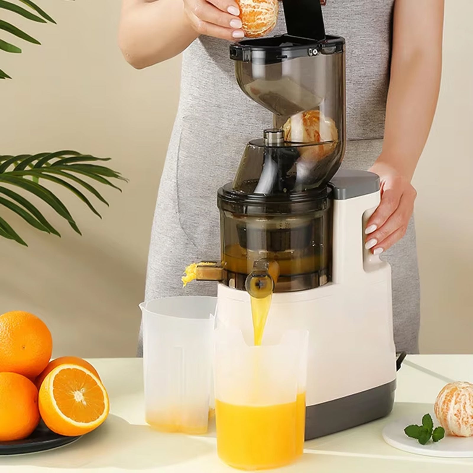 JuiCiento Cold Press Juicer