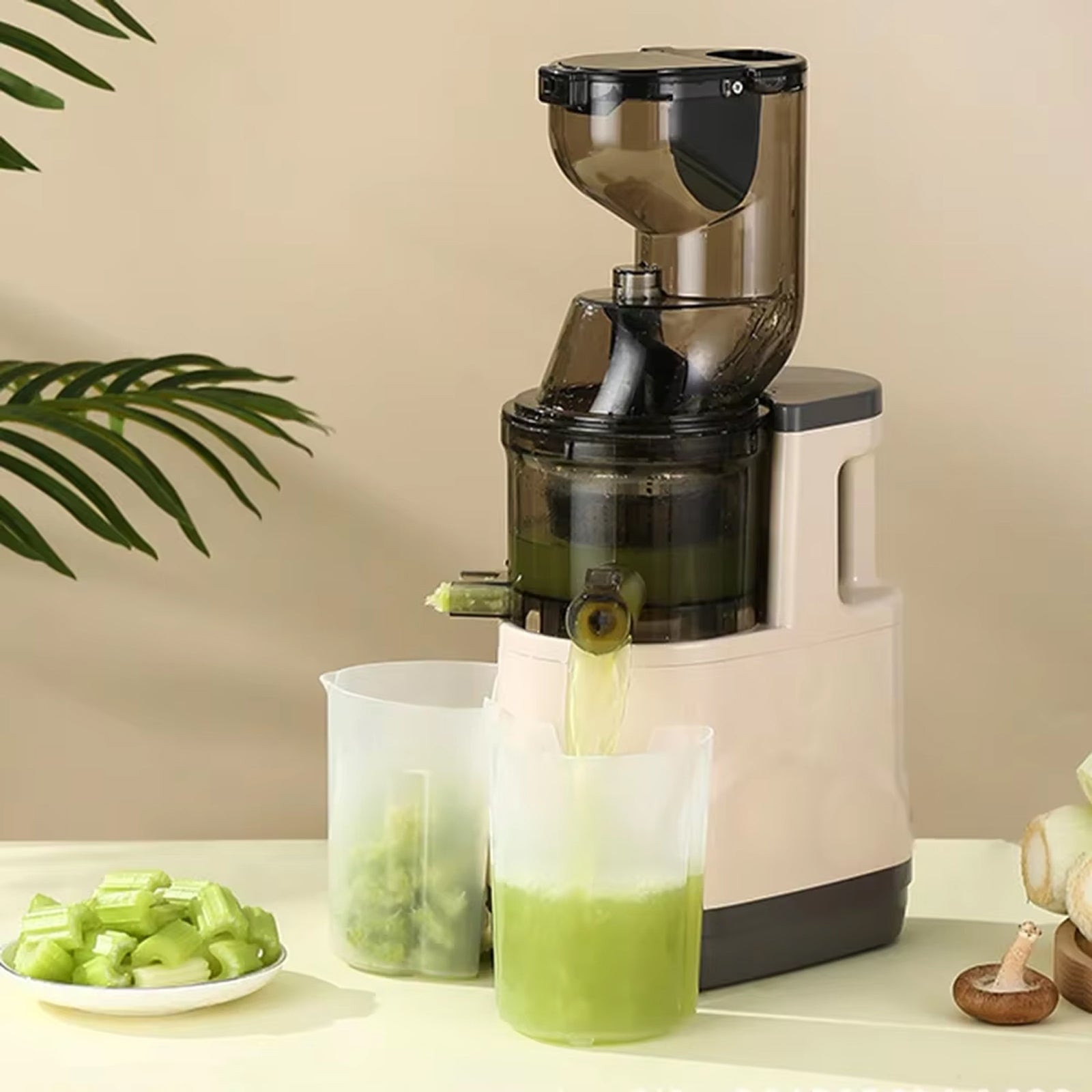 JuiCiento Cold Press Juicer