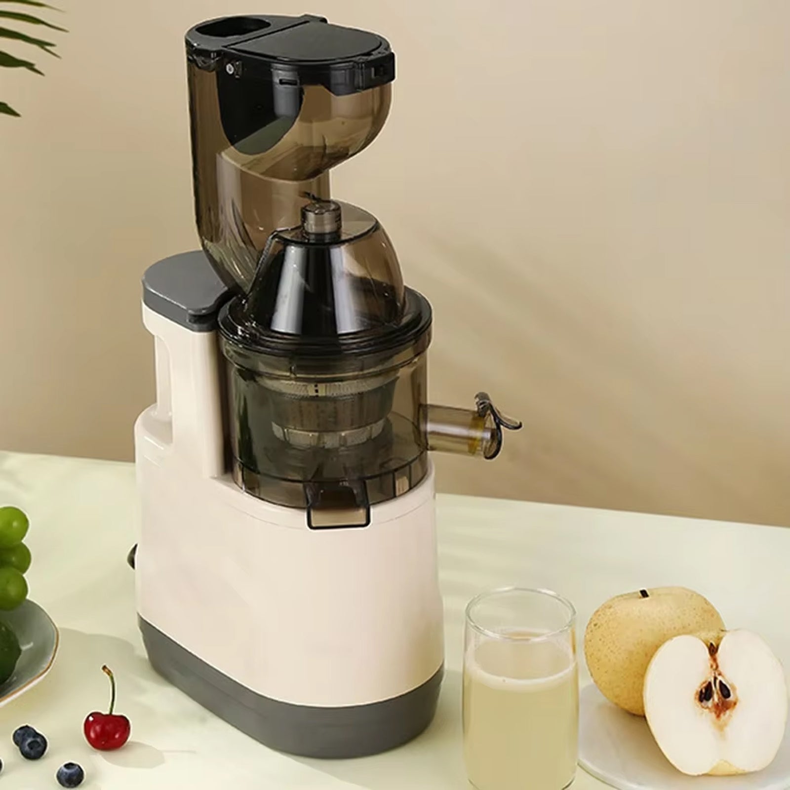 JuiCiento Cold Press Juicer