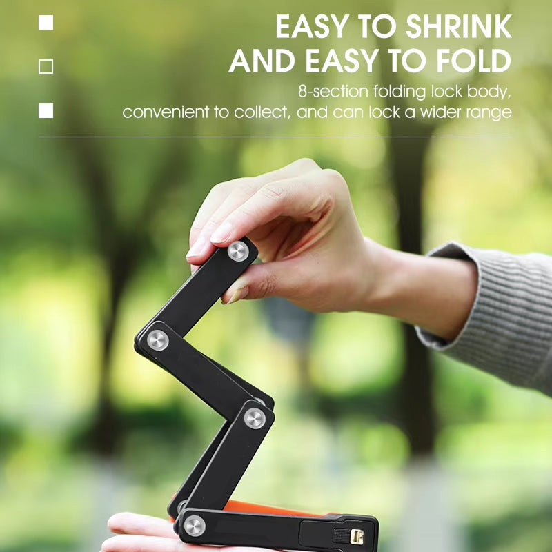 LoopaLock Ebike Locks