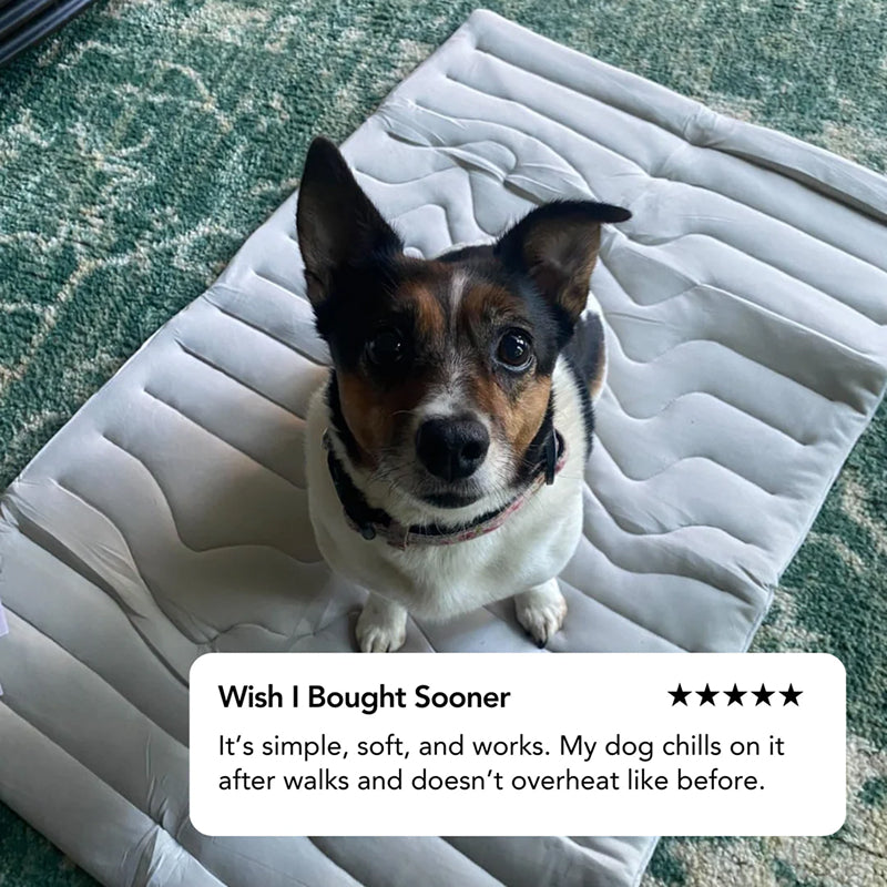 PawFroste Dog Cooling Mat