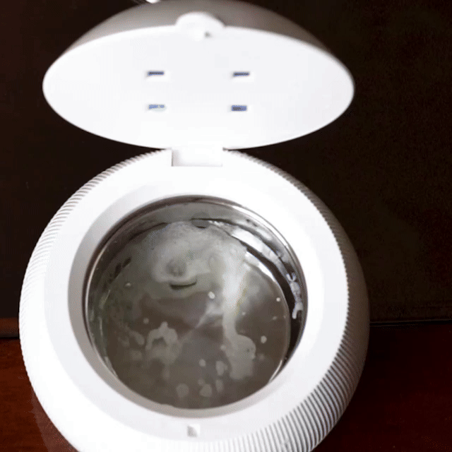 Purepesty Ultrasonic Dental Cleaner