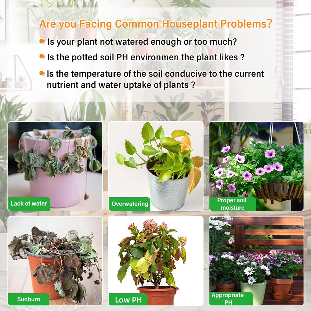 Rootabest Soil PH Tester