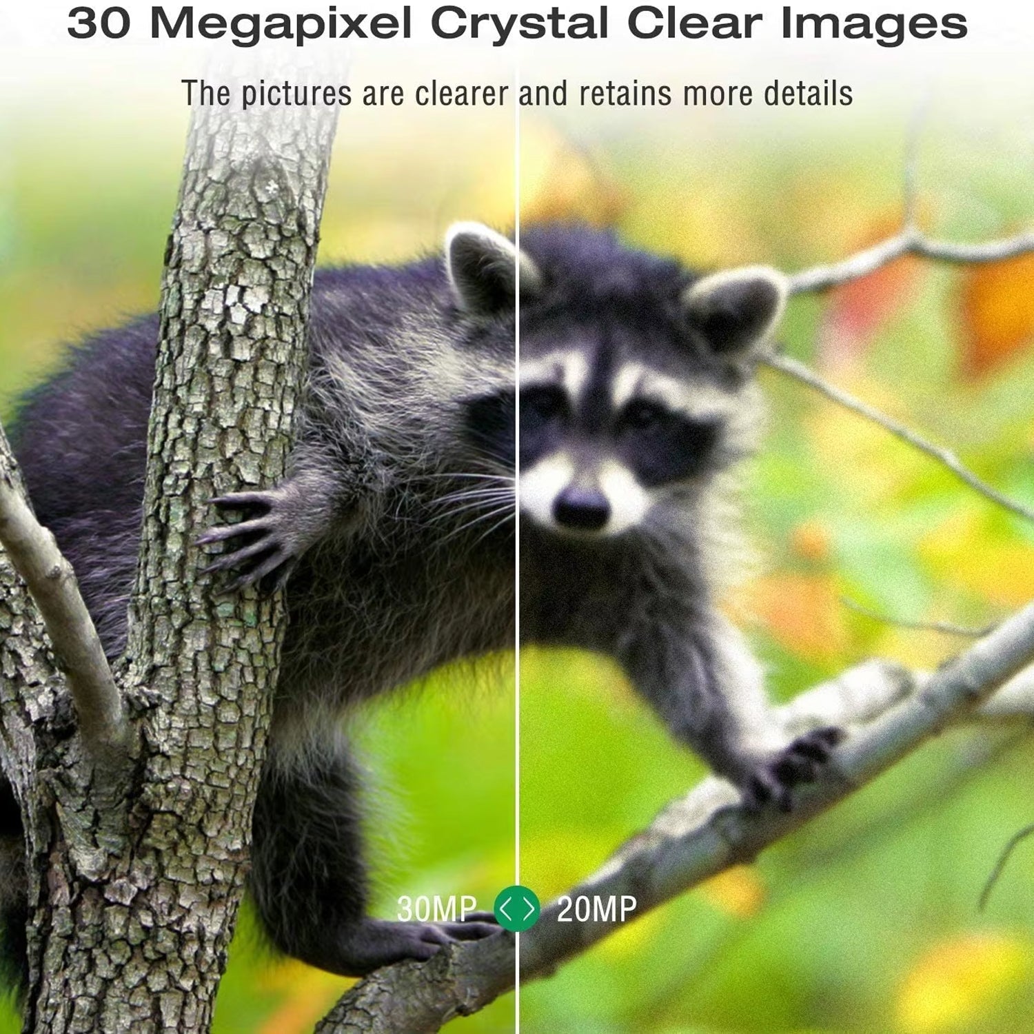 ScoutPox Cellular Trail Camera Without Subscription