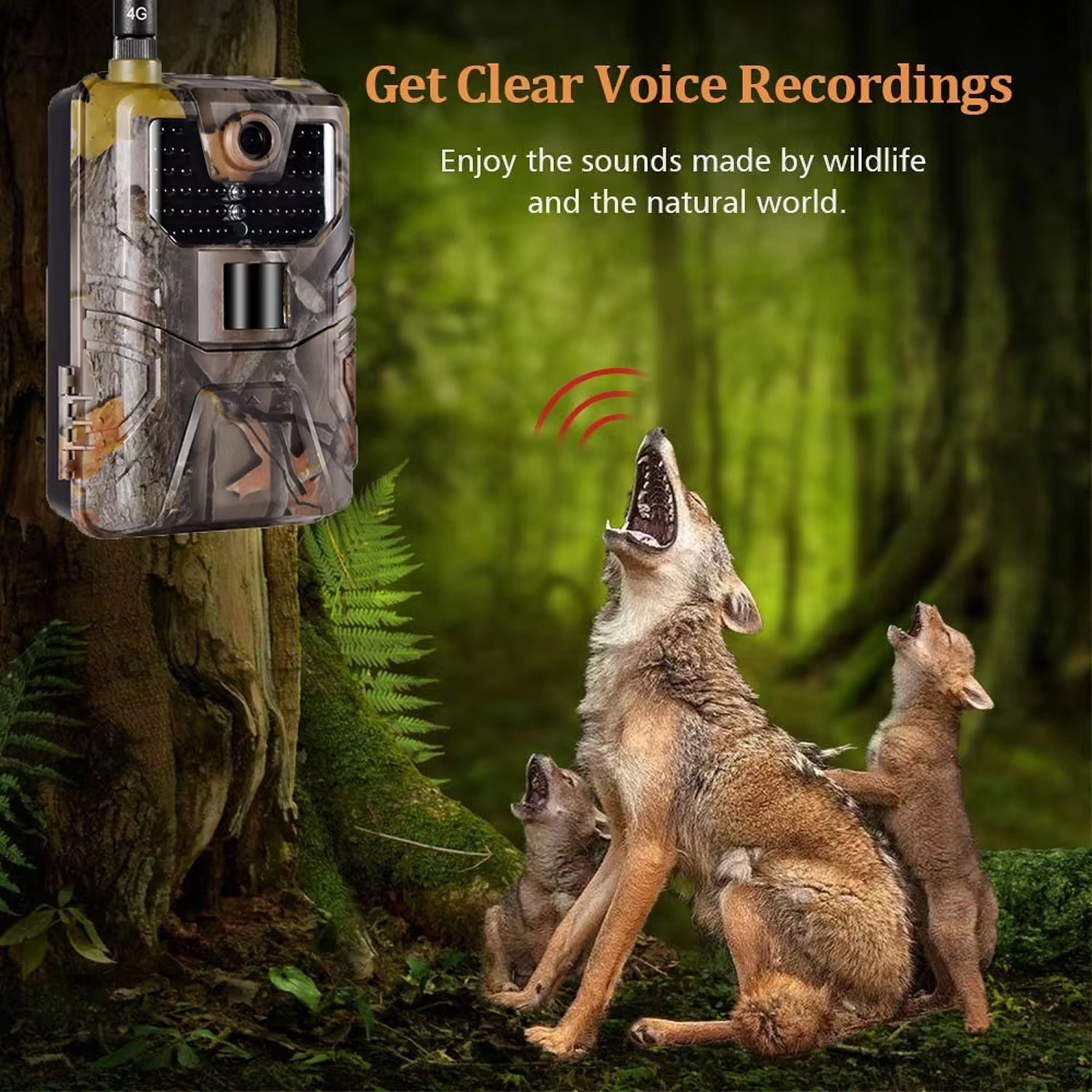 ScoutPox Cellular Trail Camera Without Subscription