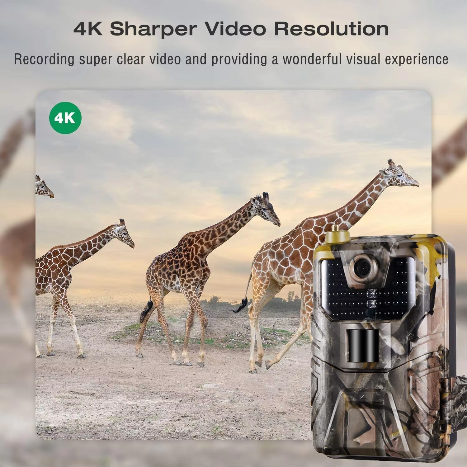 ScoutPox Cellular Trail Camera Without Subscription