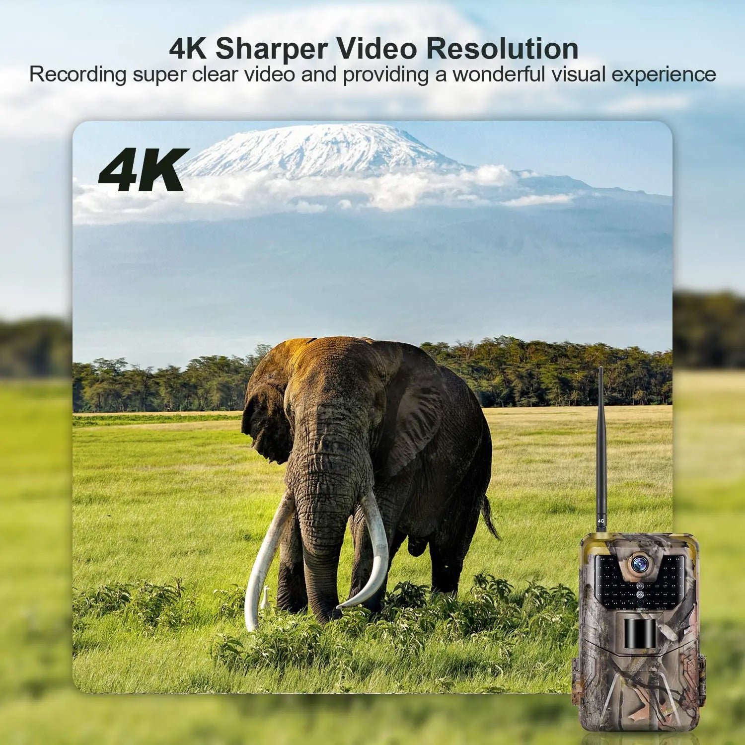 ScoutPox Cellular Trail Camera Without Subscription