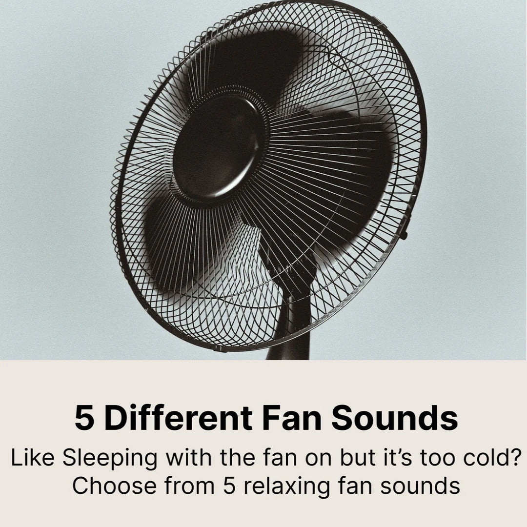 Silenemod Noise Cancelling Machine For Office Privacy