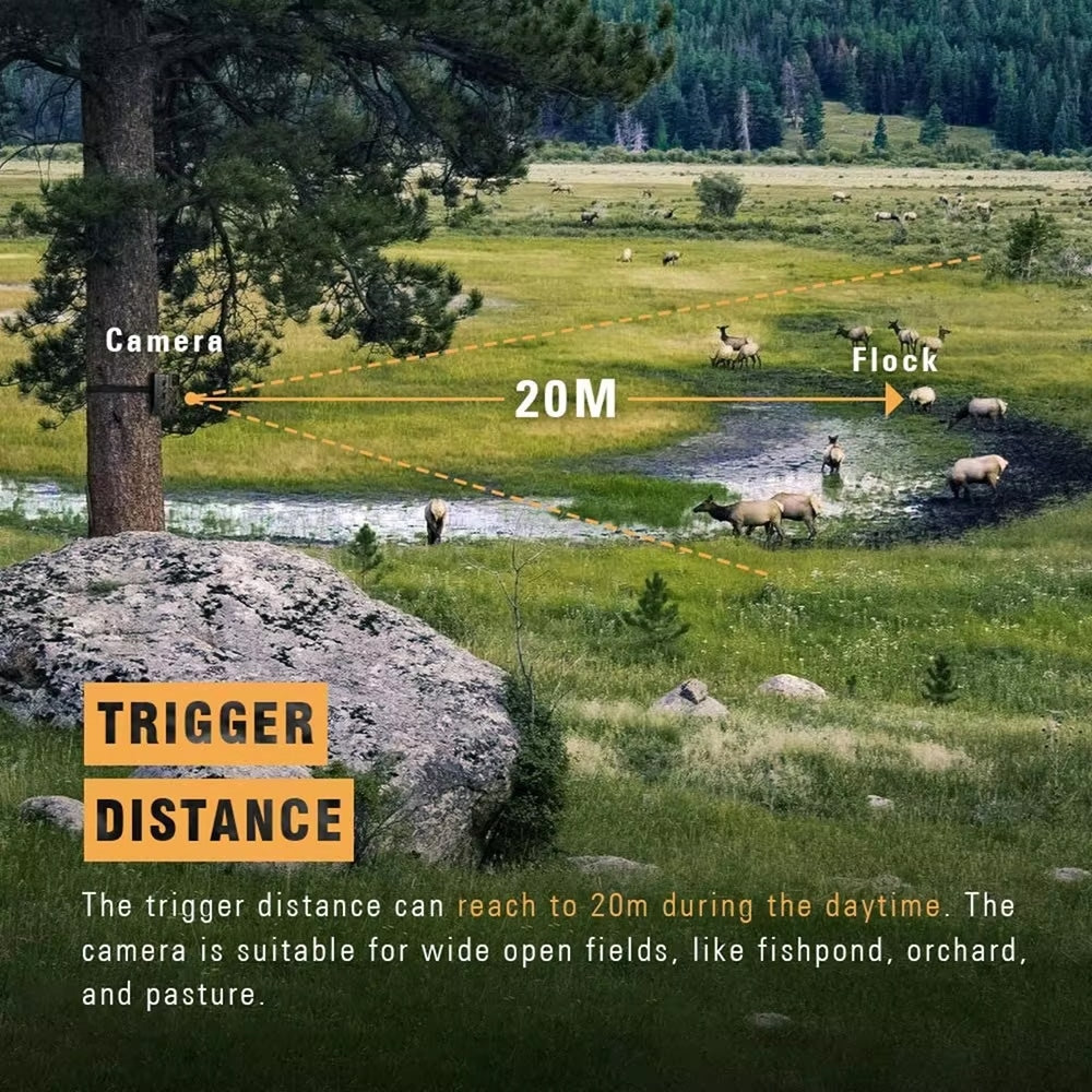 TrailCamet Trail Camera