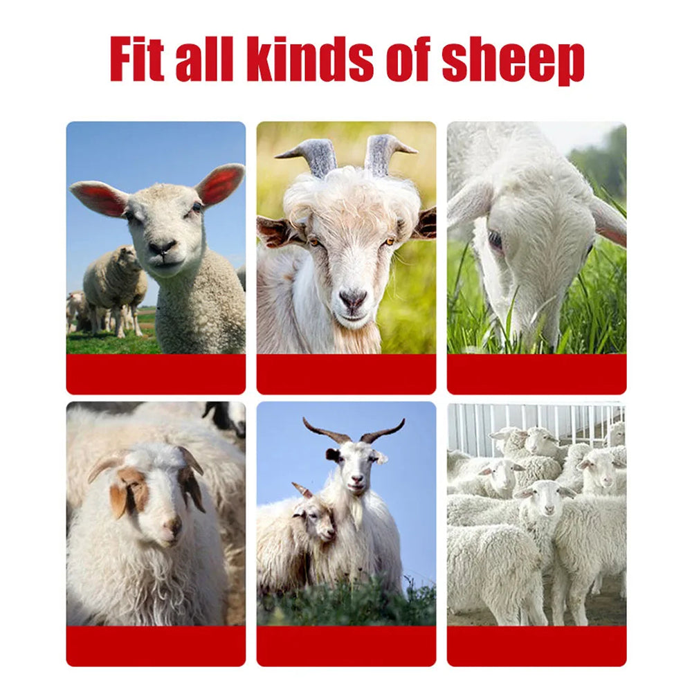 Woolilux Electric Sheep Shears