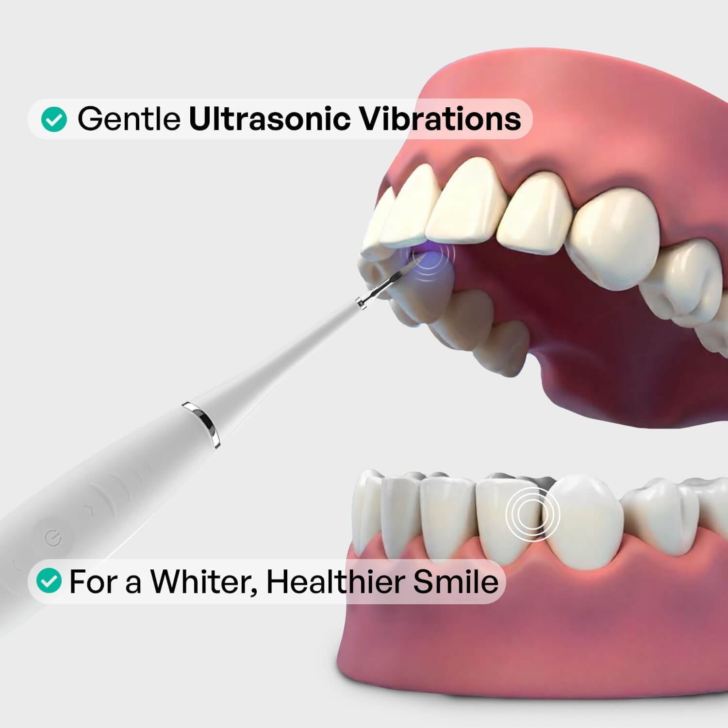 Zamoxque Tartar Remover